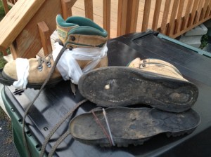 The Adventure Within (the Adventure)