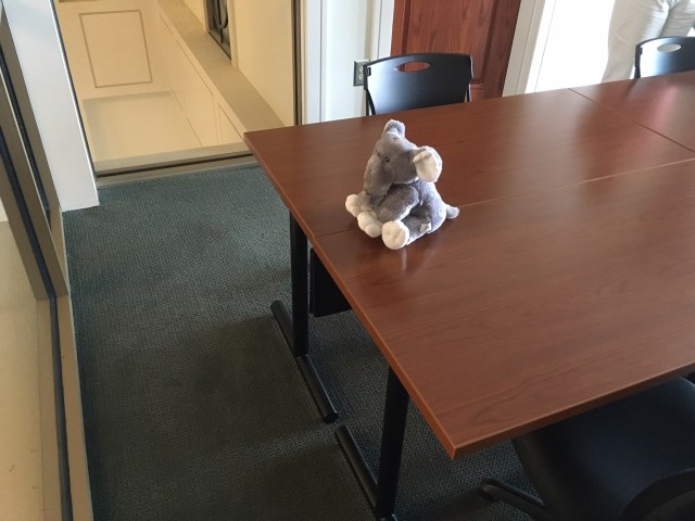 The Elephant in the Room